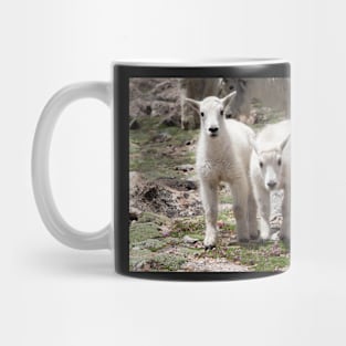 Twins Mug